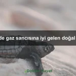 Çocuklarda aşırı kilo alımı nasıl önlenir?