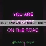 Hamilelikte sağlıklı beslenme nasıl olmalı?