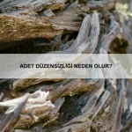 Göz kuruluğu için evde uygulanabilecek doğal çözümler