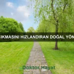 Erkeklerde yüksek tansiyon belirtileri ve korunma yöntemleri
