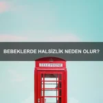 Erkeklerde kas gelişimi için en iyi egzersizler