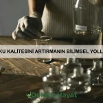 Bebeklerde ilk kelimeler ne zaman söylenir?