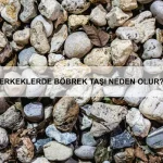 Çocuklarda diş çürüklerini önlemek için nelere dikkat edilmeli?