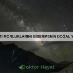 Diş fırçalama teknikleri nasıl olmalı?