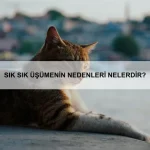 Bebeklerde reflü belirtileri ve tedavi yöntemleri